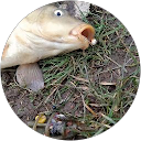ONLY - Cejn profile picture